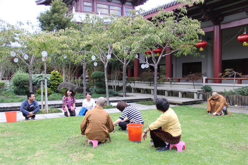 紐西蘭北島佛光人出坡作務 丹墀草坪彙集歡聲笑語 – 紐西蘭佛光山