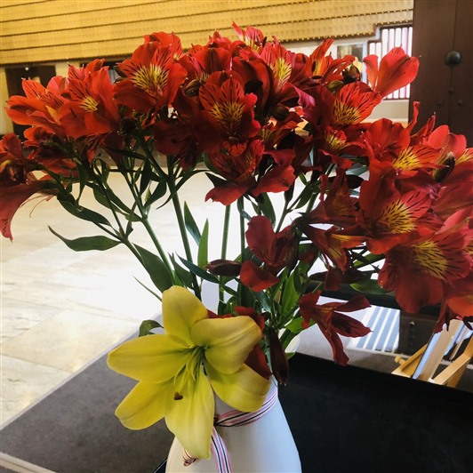 北島佛光人心繫道場以鮮花供養諸佛菩薩 紐西蘭佛光山 北島佛光人心繫道場以鮮花供養諸佛菩薩 紐西蘭佛光山